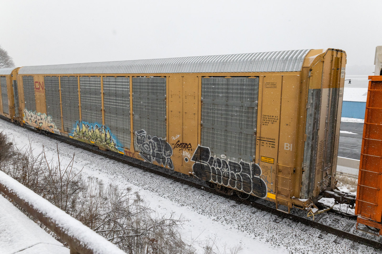 TTGX 695881