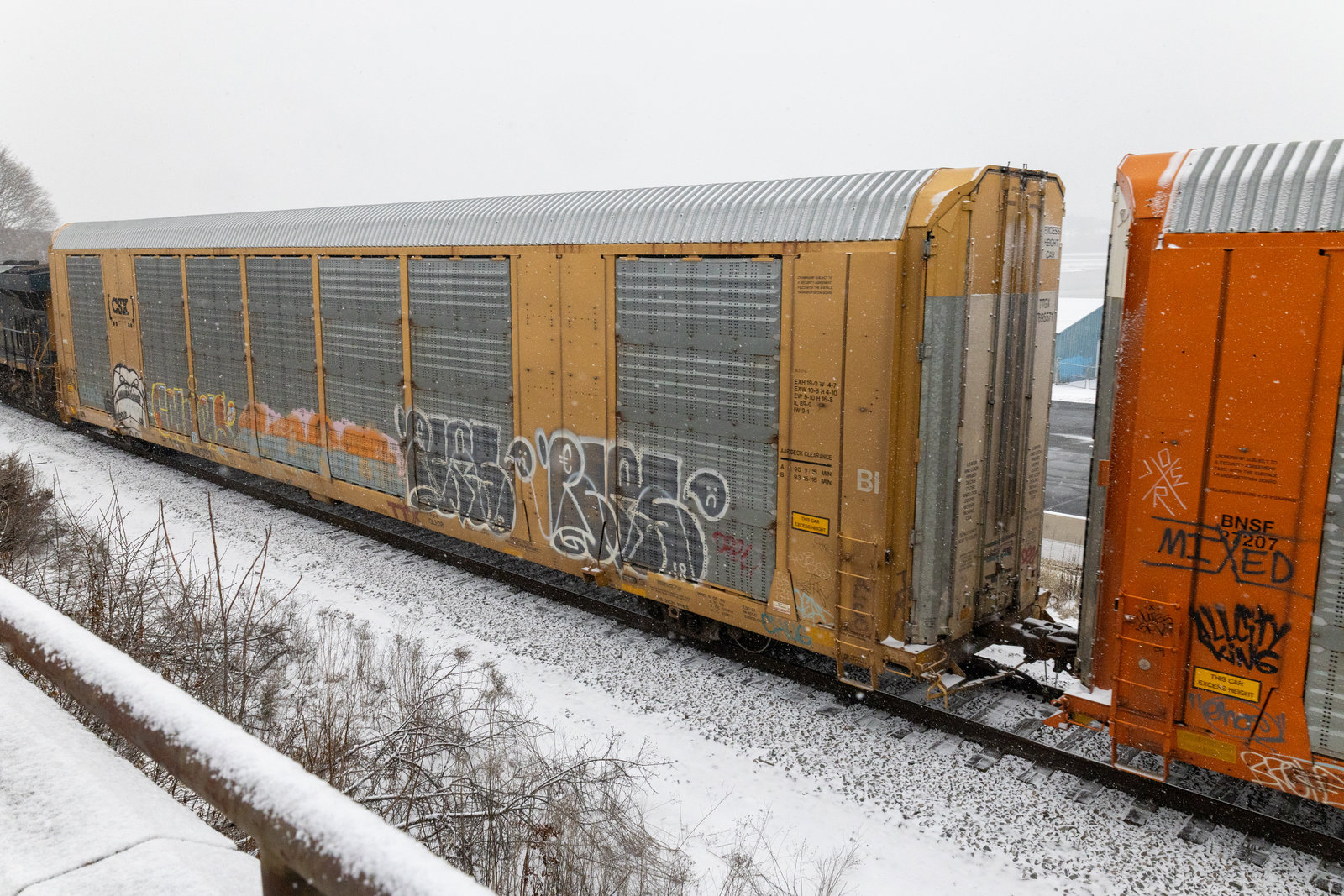 TTGX 695571