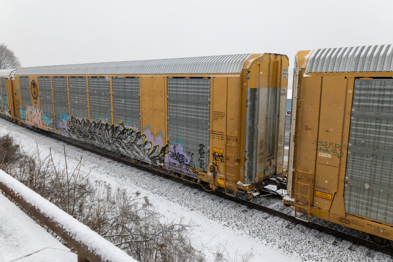 TTGX 697908