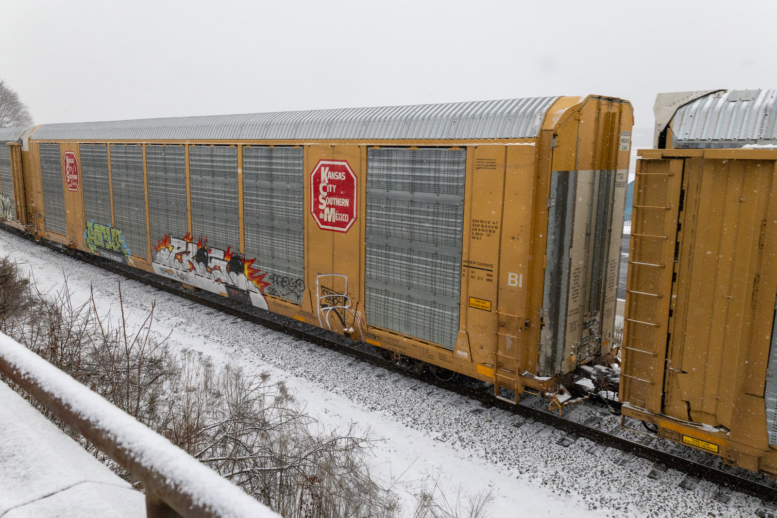 TTGX 696351
