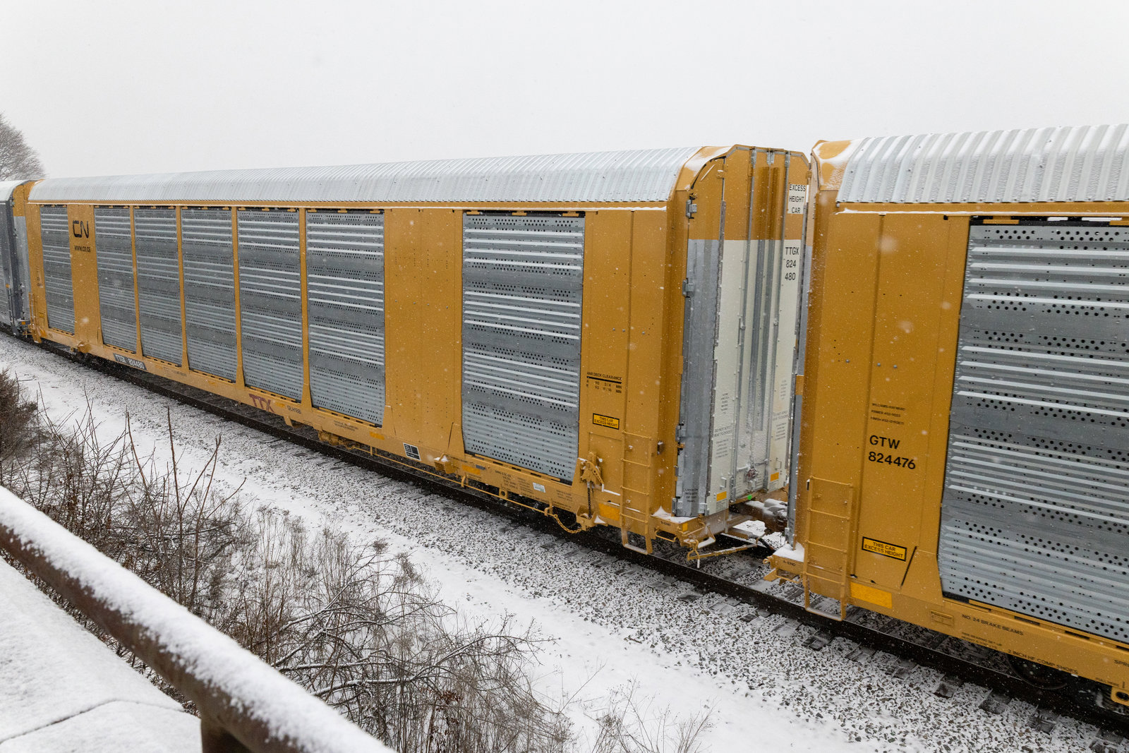 TTGX 824480