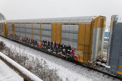 TTGX 822504