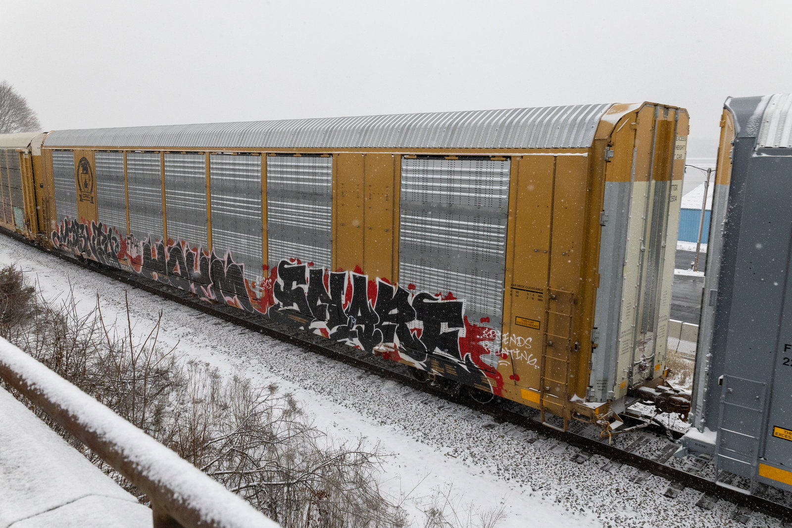 TTGX 822504
