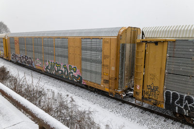 TTGX 697008