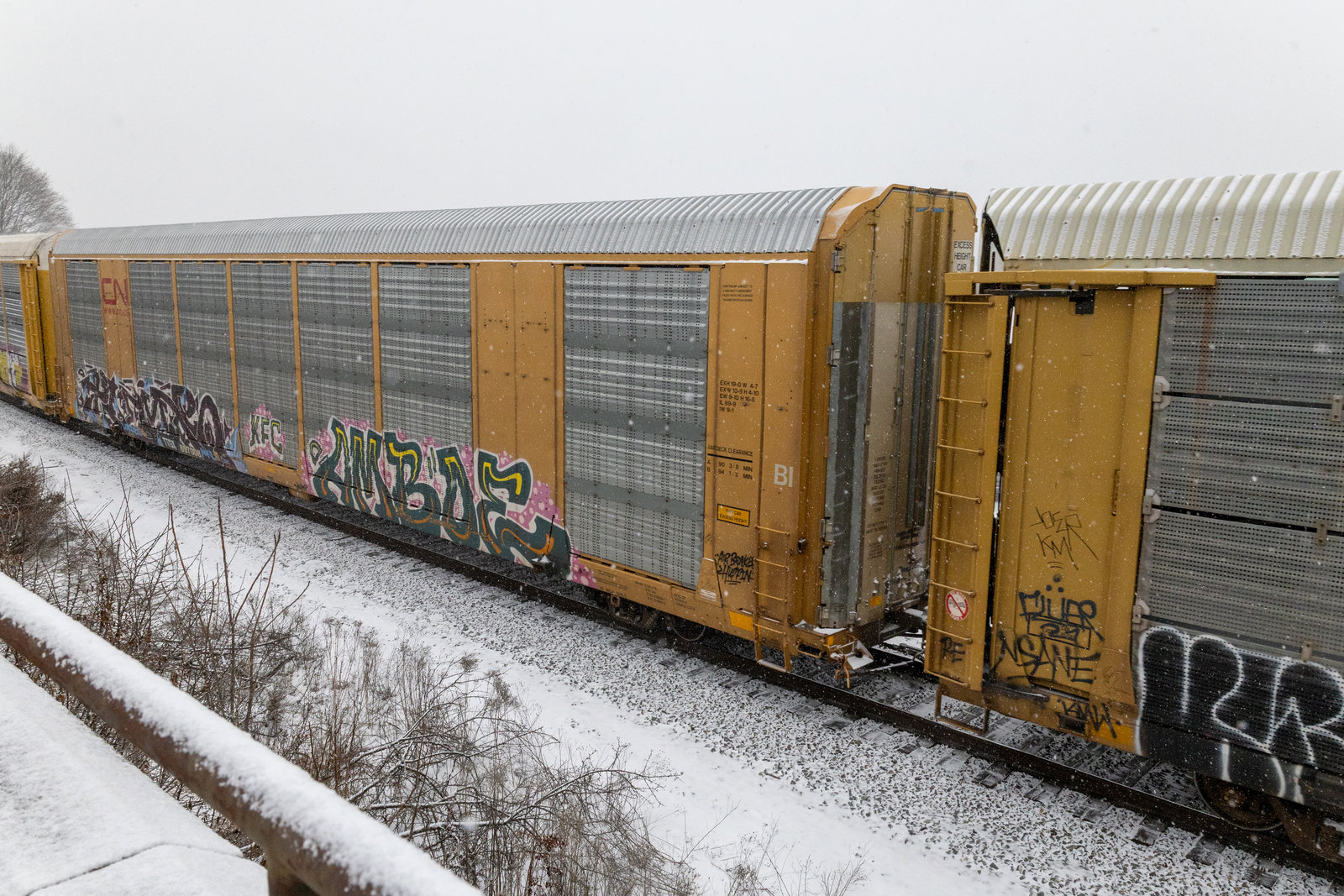 TTGX 697008