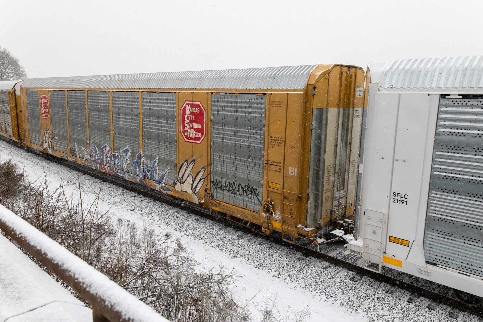 TTGX 696417