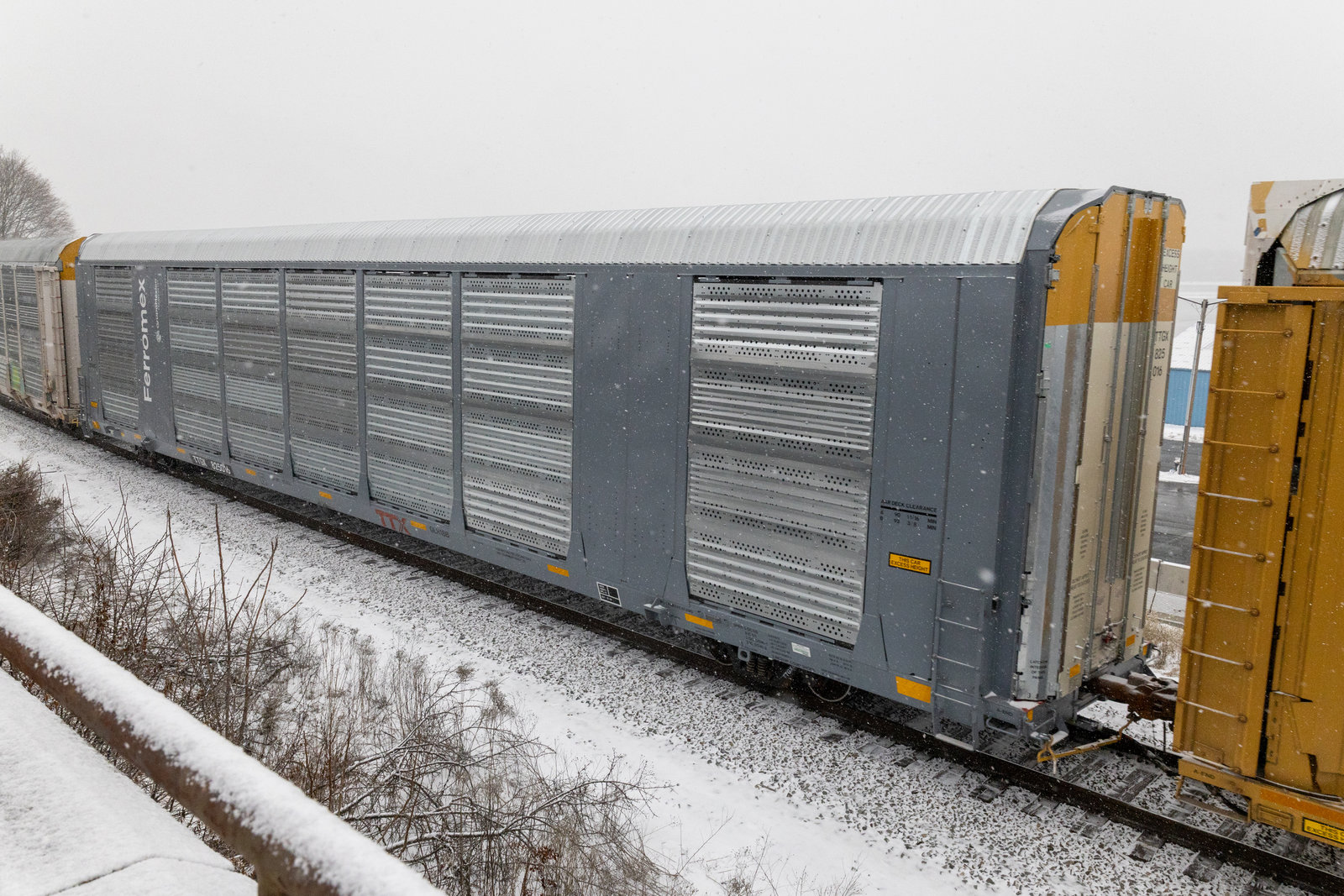 TTGX 825016