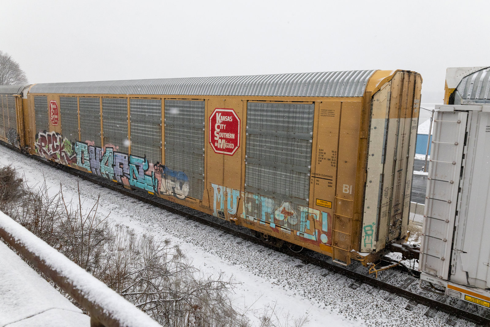 TTGX 691916