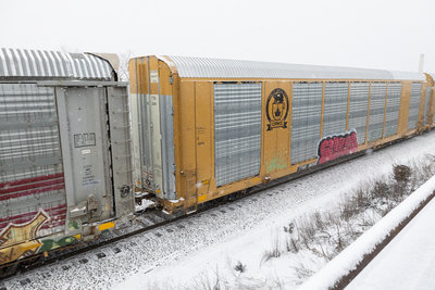 TTGX 823044