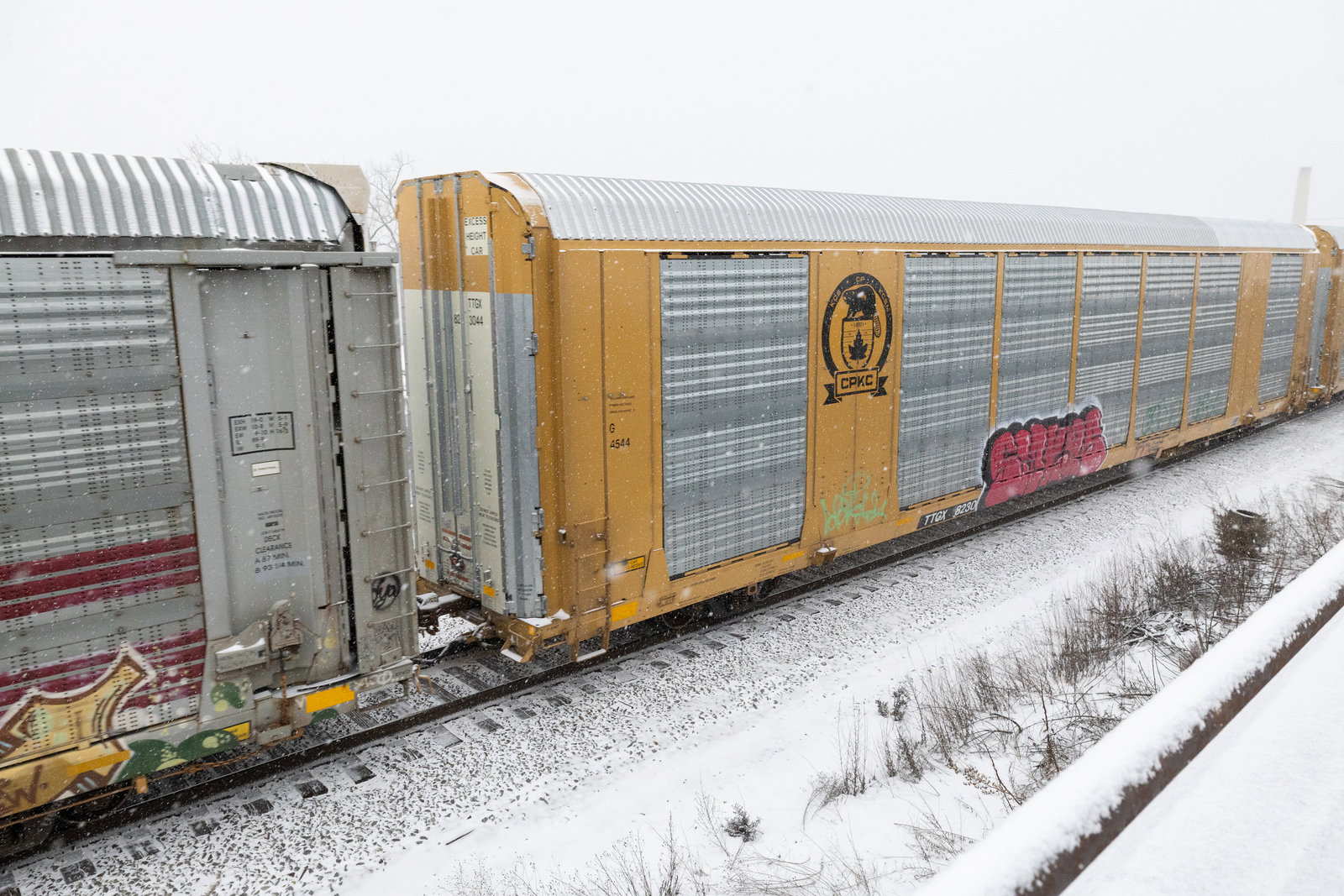 TTGX 823044