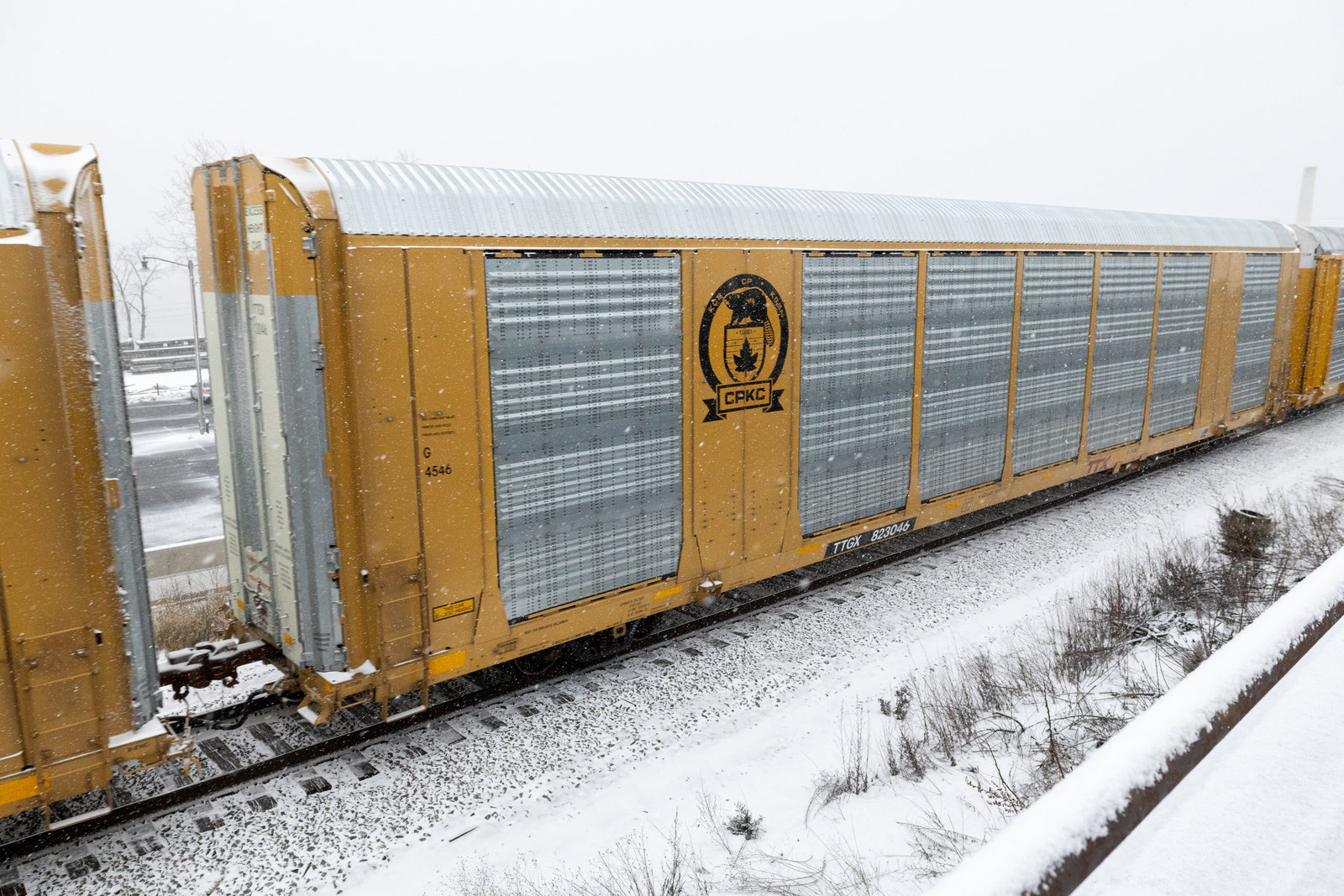 TTGX 823046