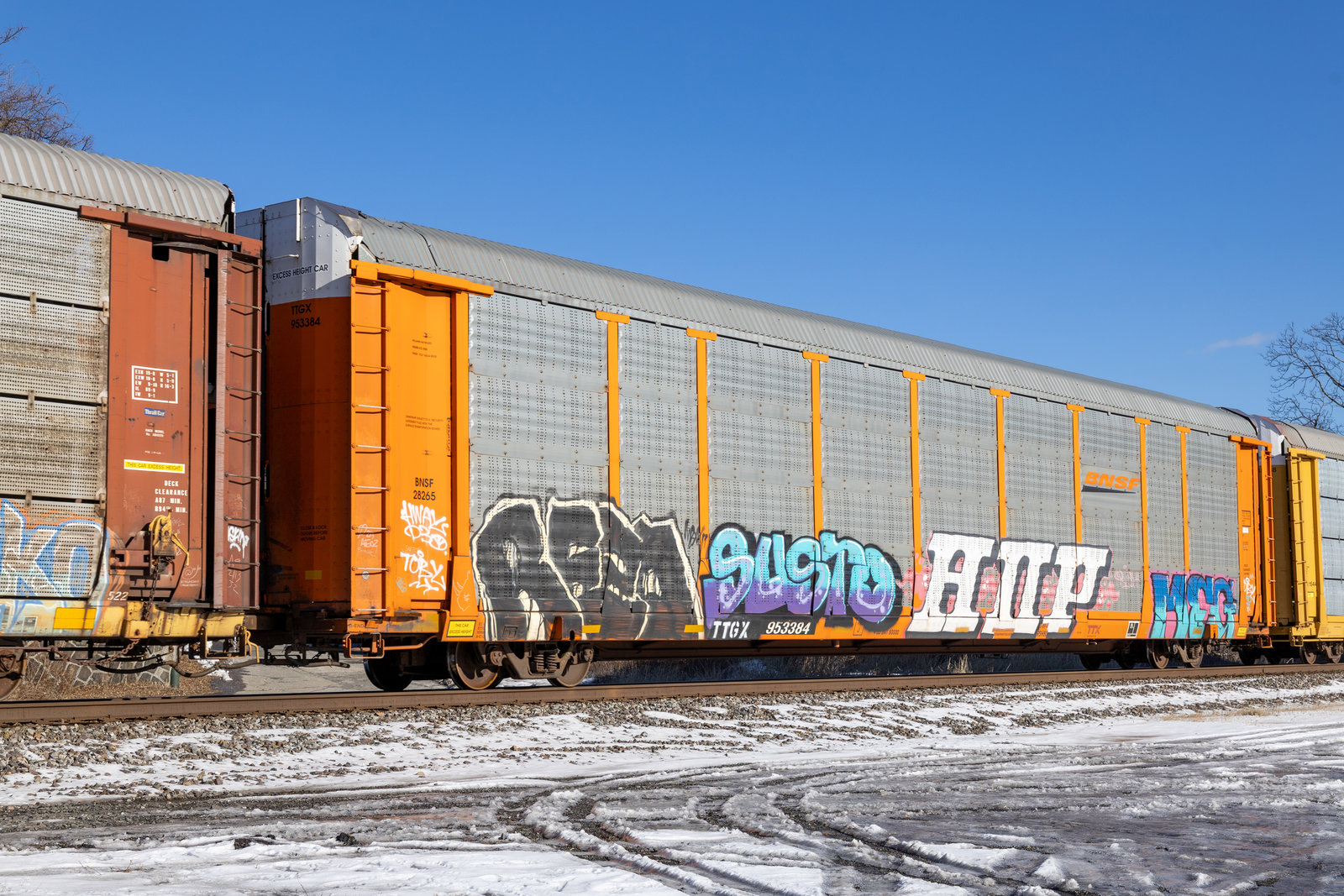 TTGX 953384