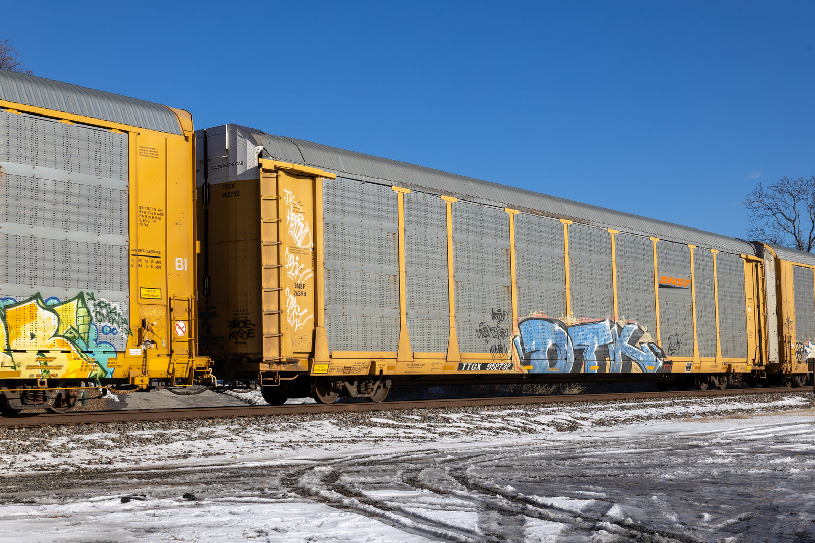 TTGX 952732