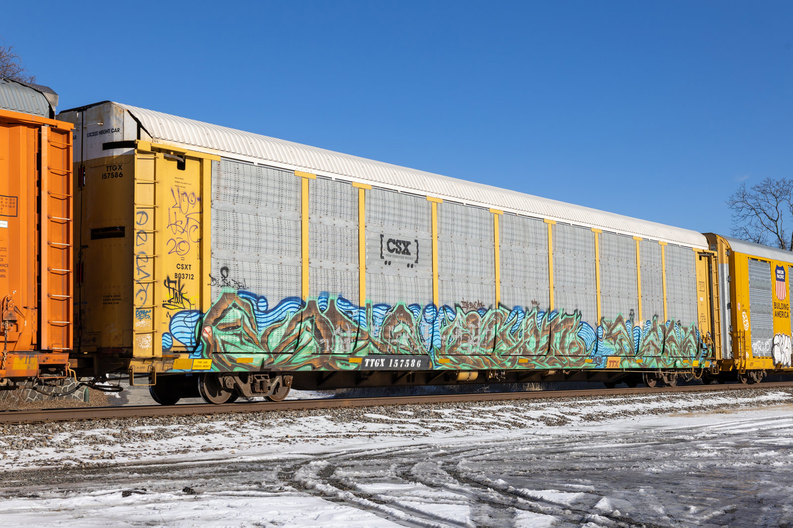 TTGX 157586