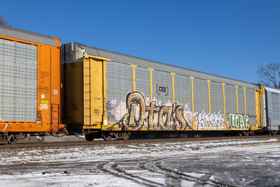 TTGX 953754