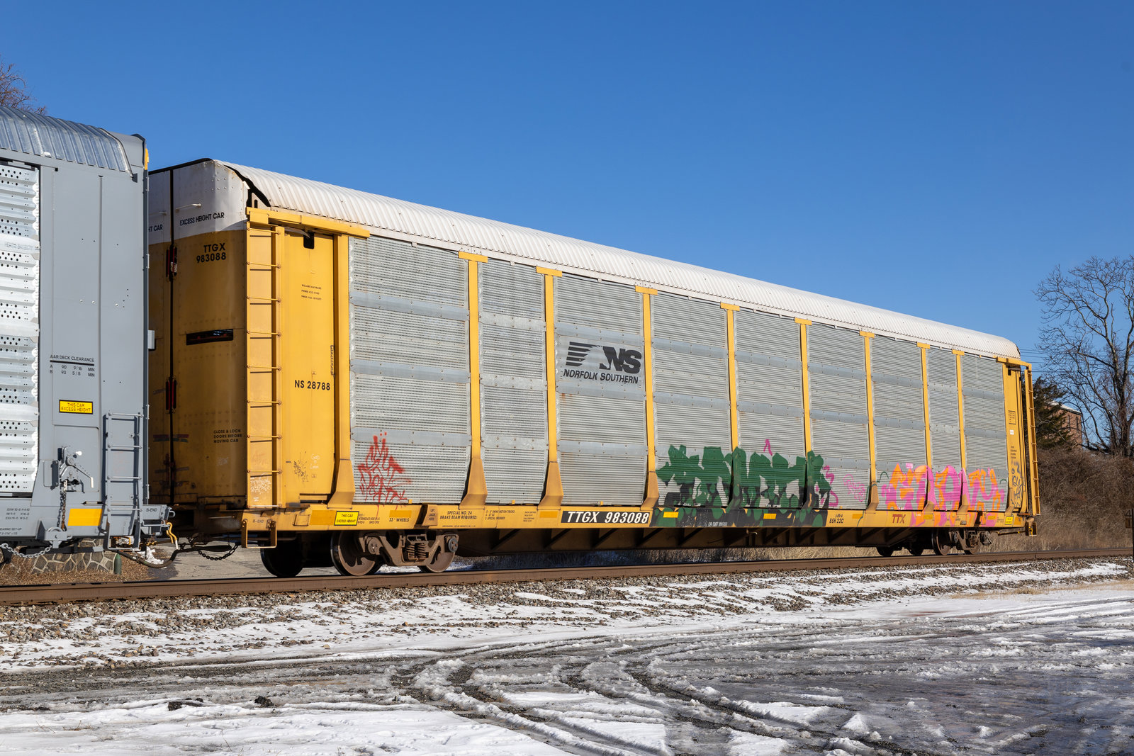 TTGX 983088