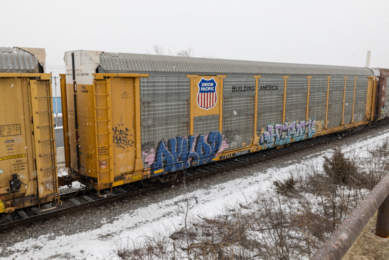 TTGX 981480