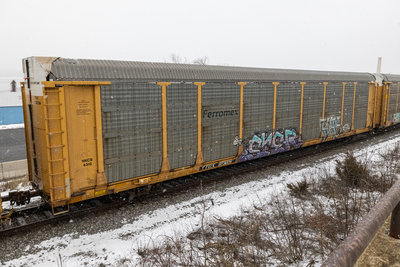 TTGX 973226