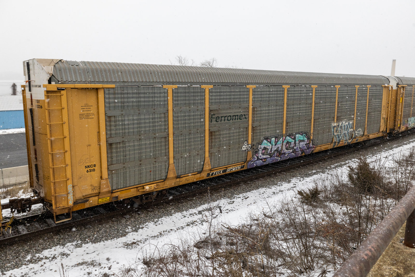 TTGX 973226
