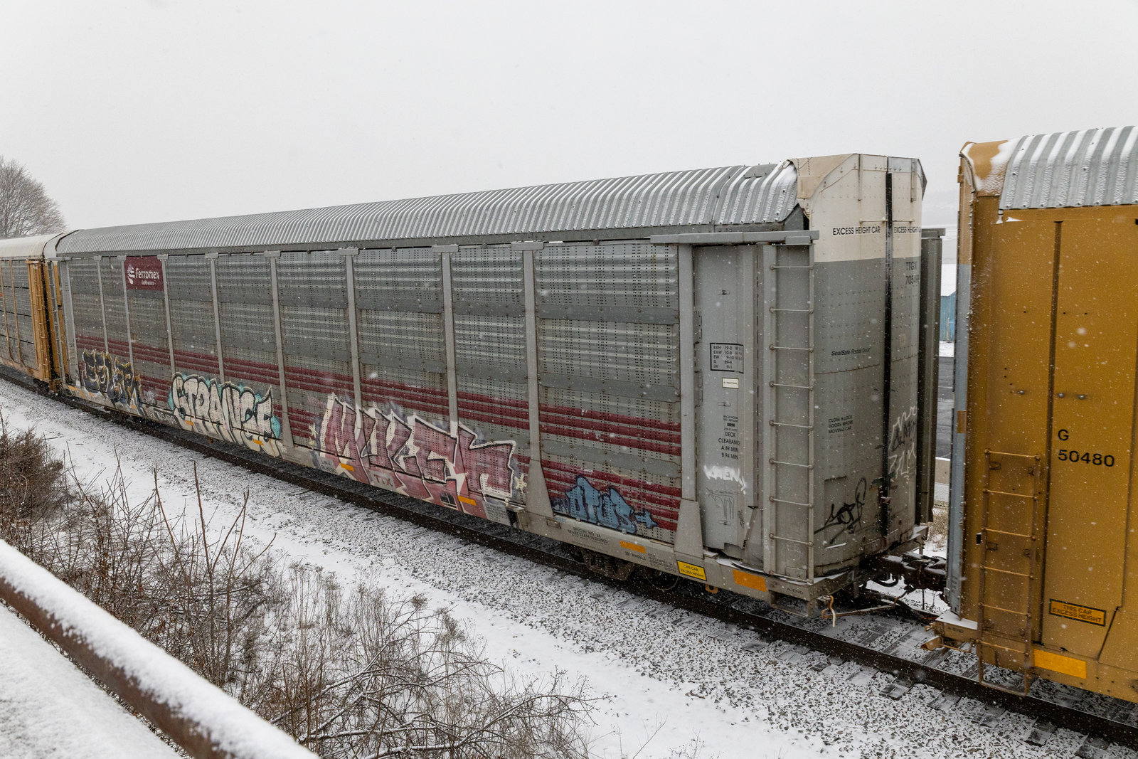 TTGX 705498