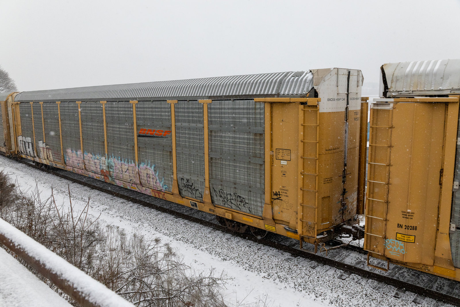 TTGX 965317