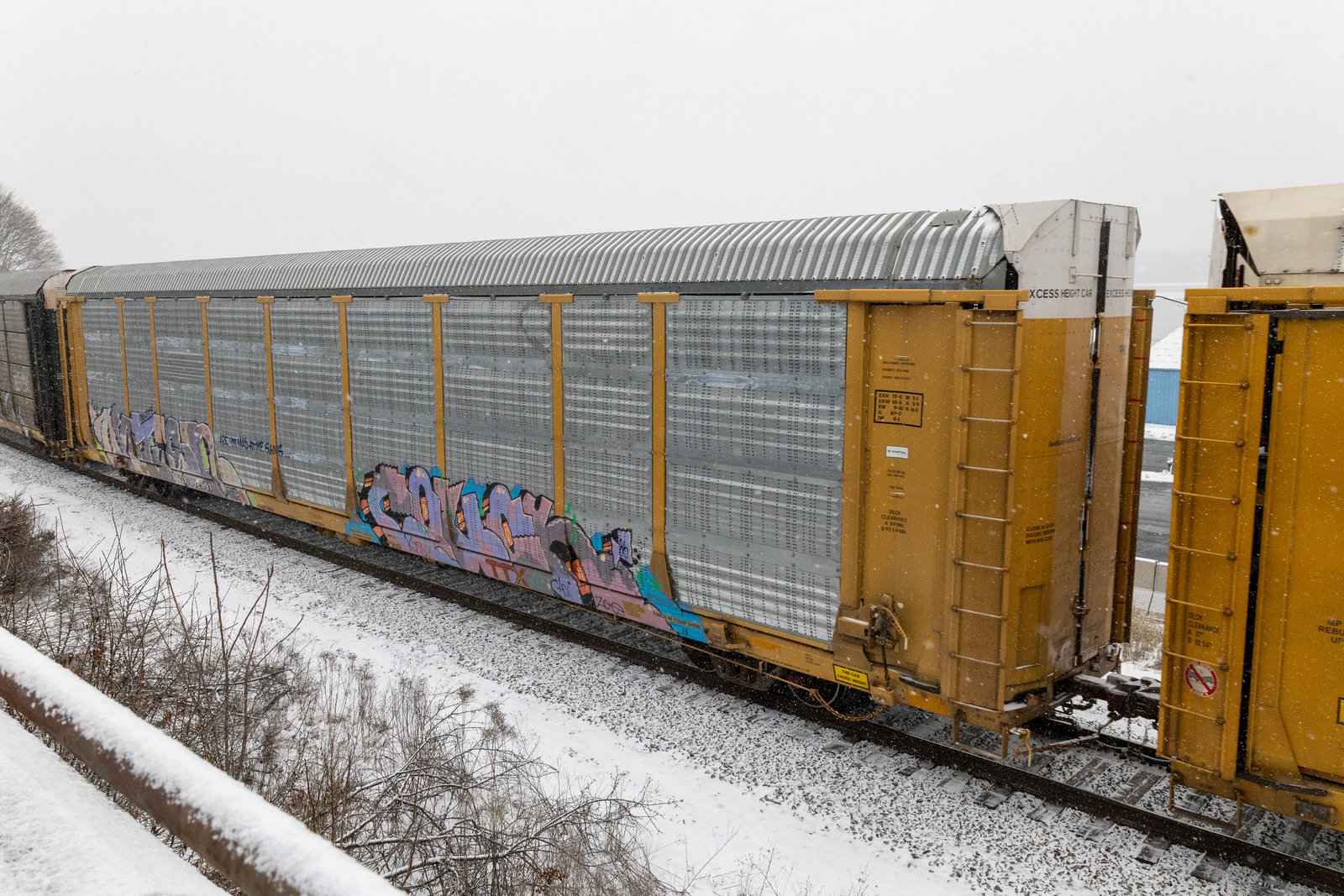 TTGX 992997