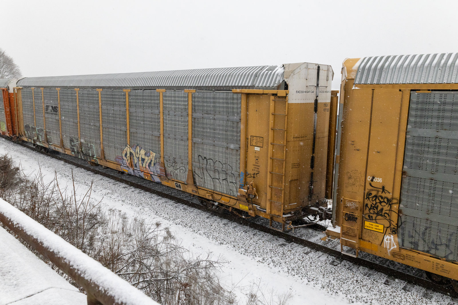 TTGX 977202