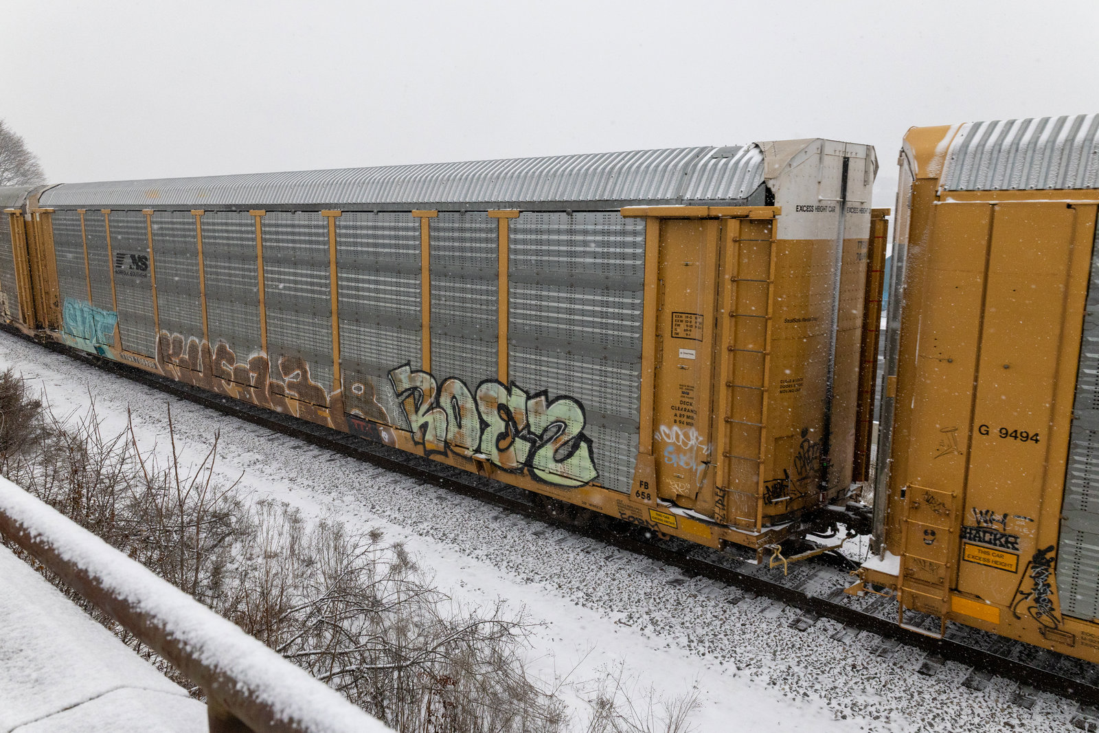 TTGX 706986