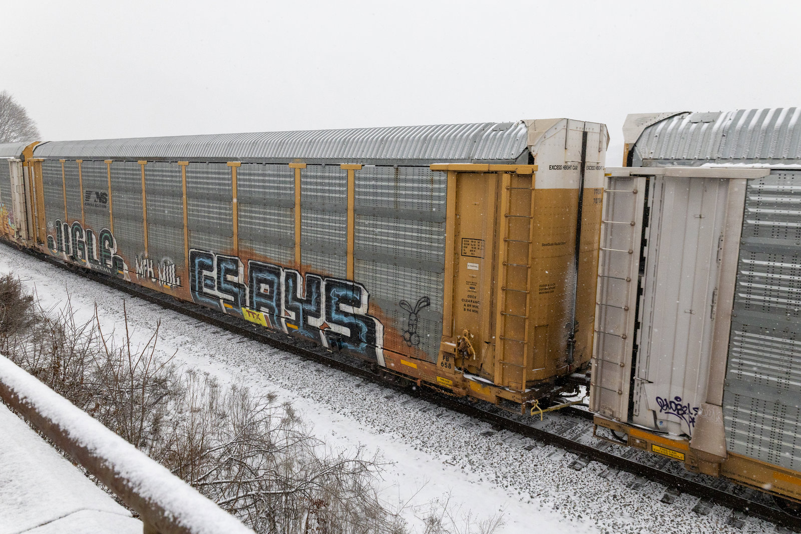 TTGX 707064
