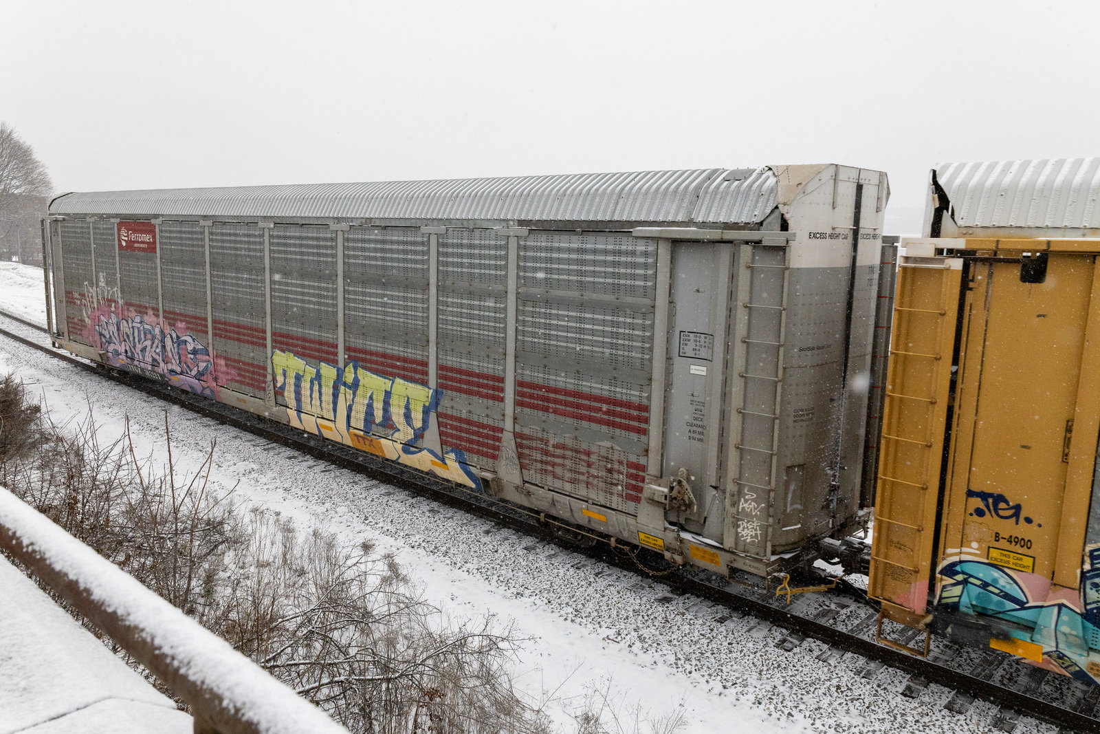 TTGX 707223