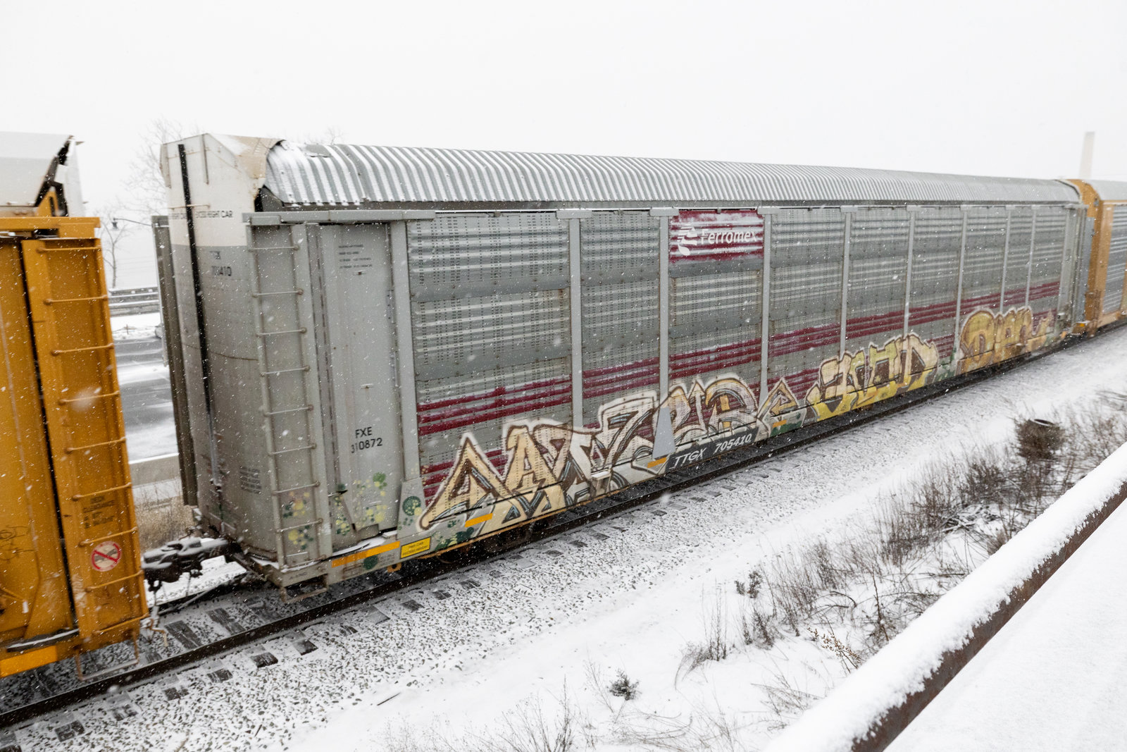 TTGX 705410