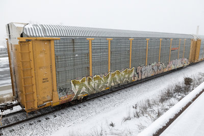 TTGX 952375