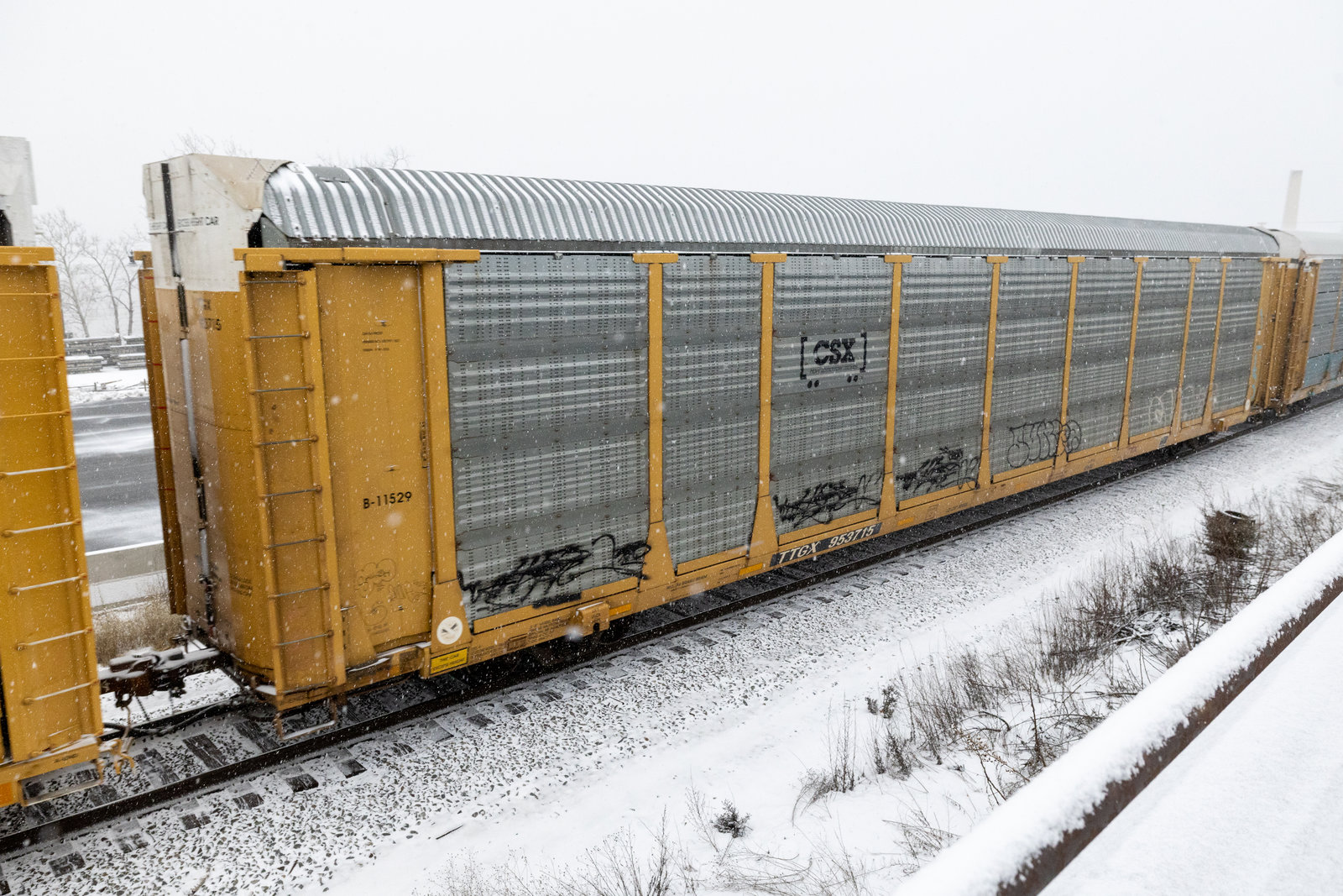 TTGX 953715