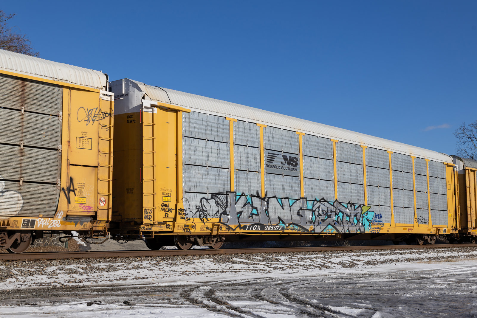 TTGX 985972