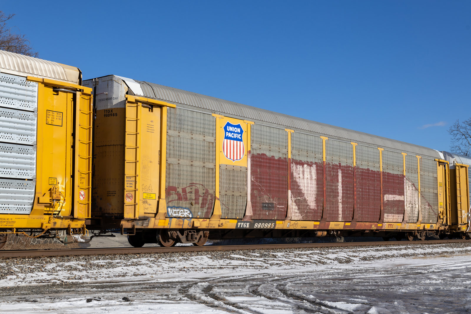 TTGX 980985