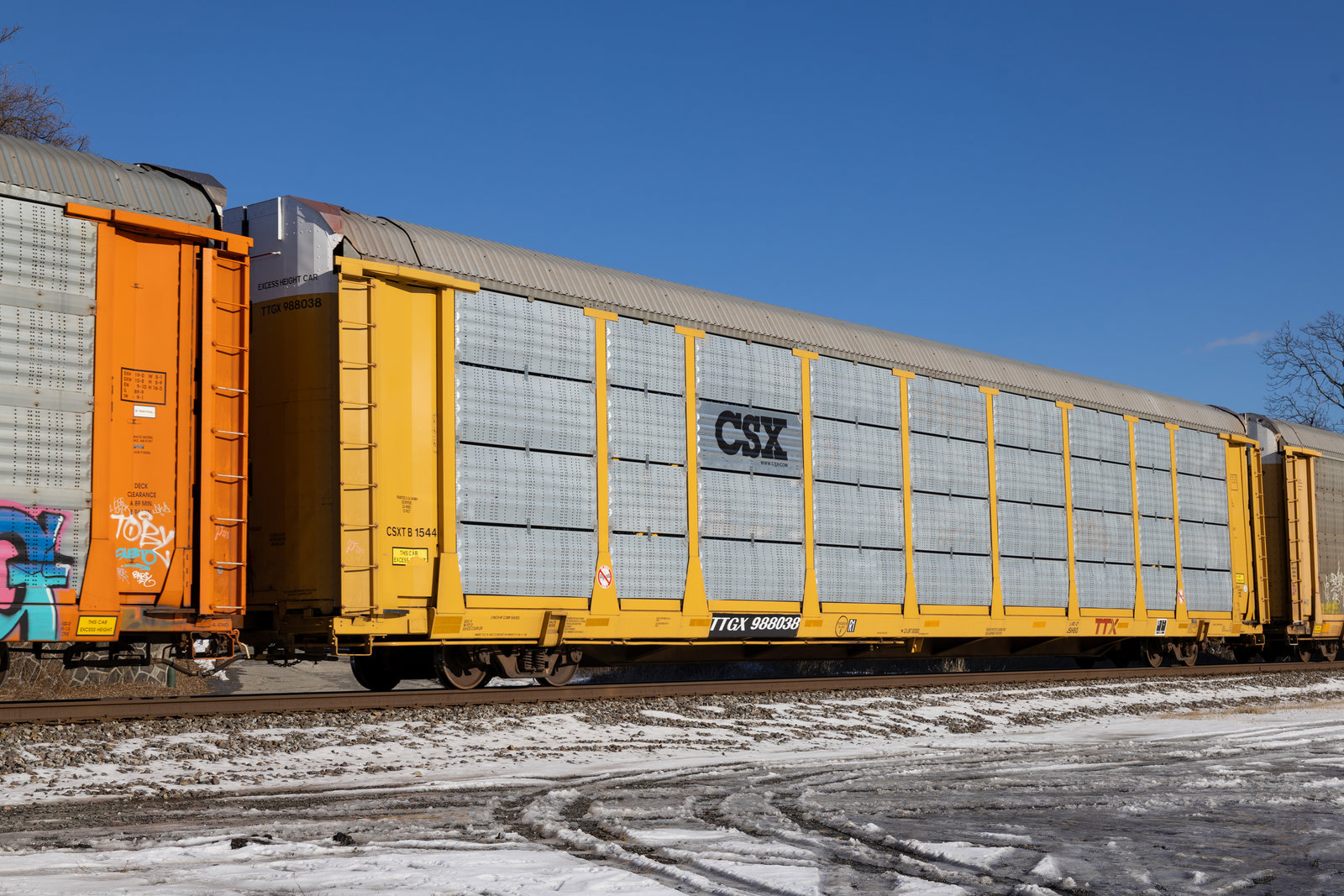 TTGX 988038