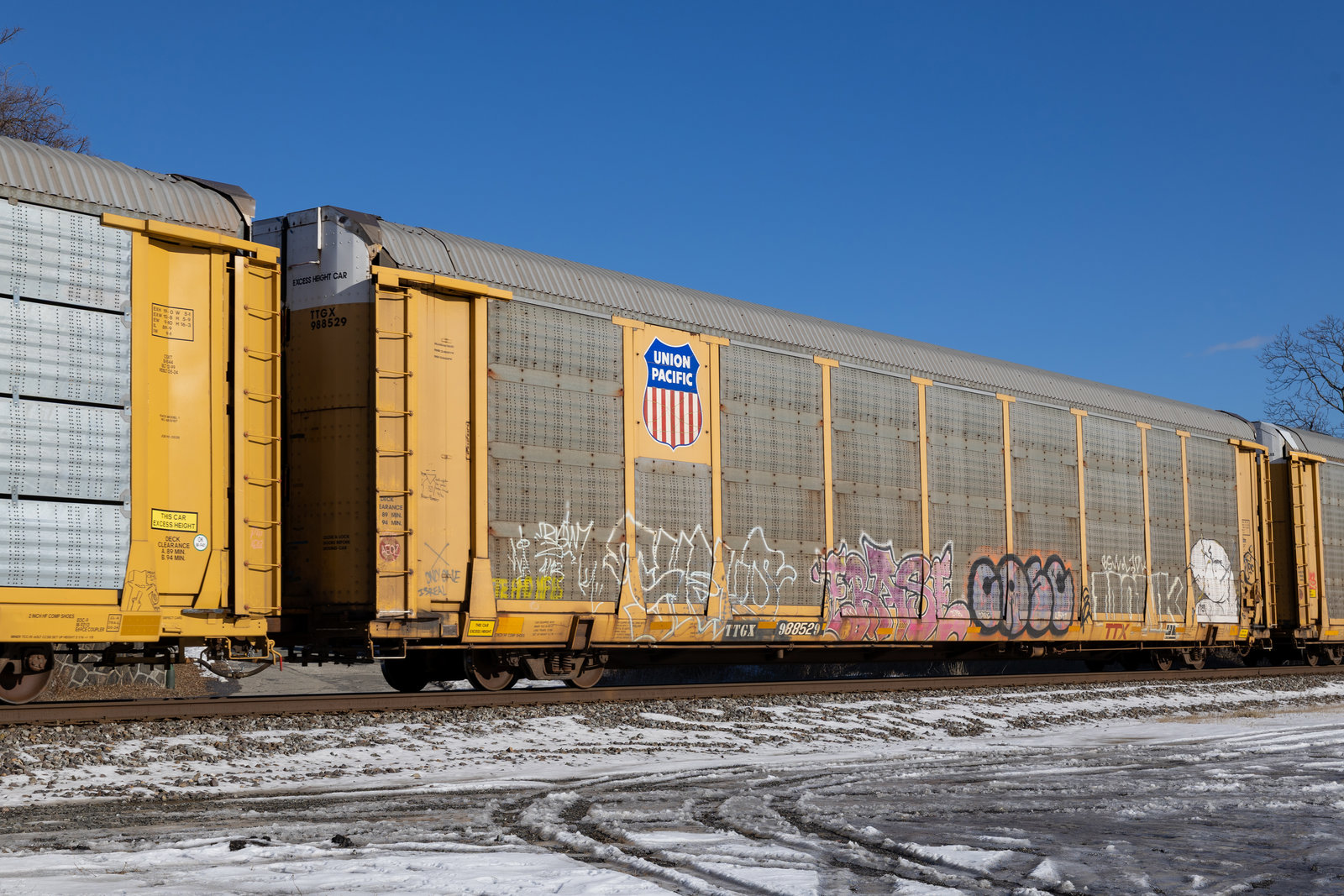 TTGX 988529