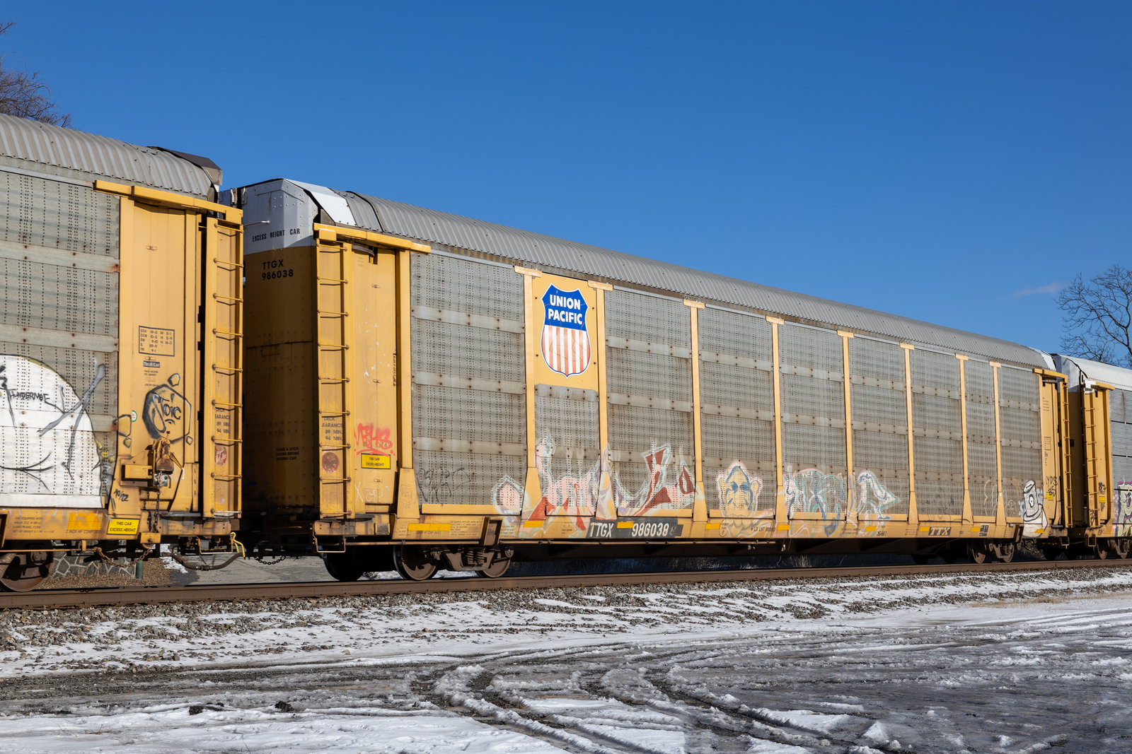 TTGX 986038