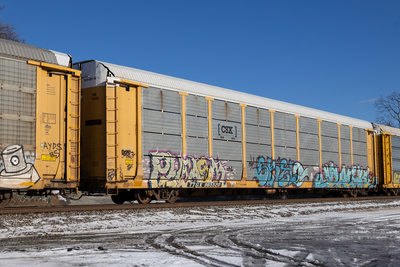 TTGX 965520