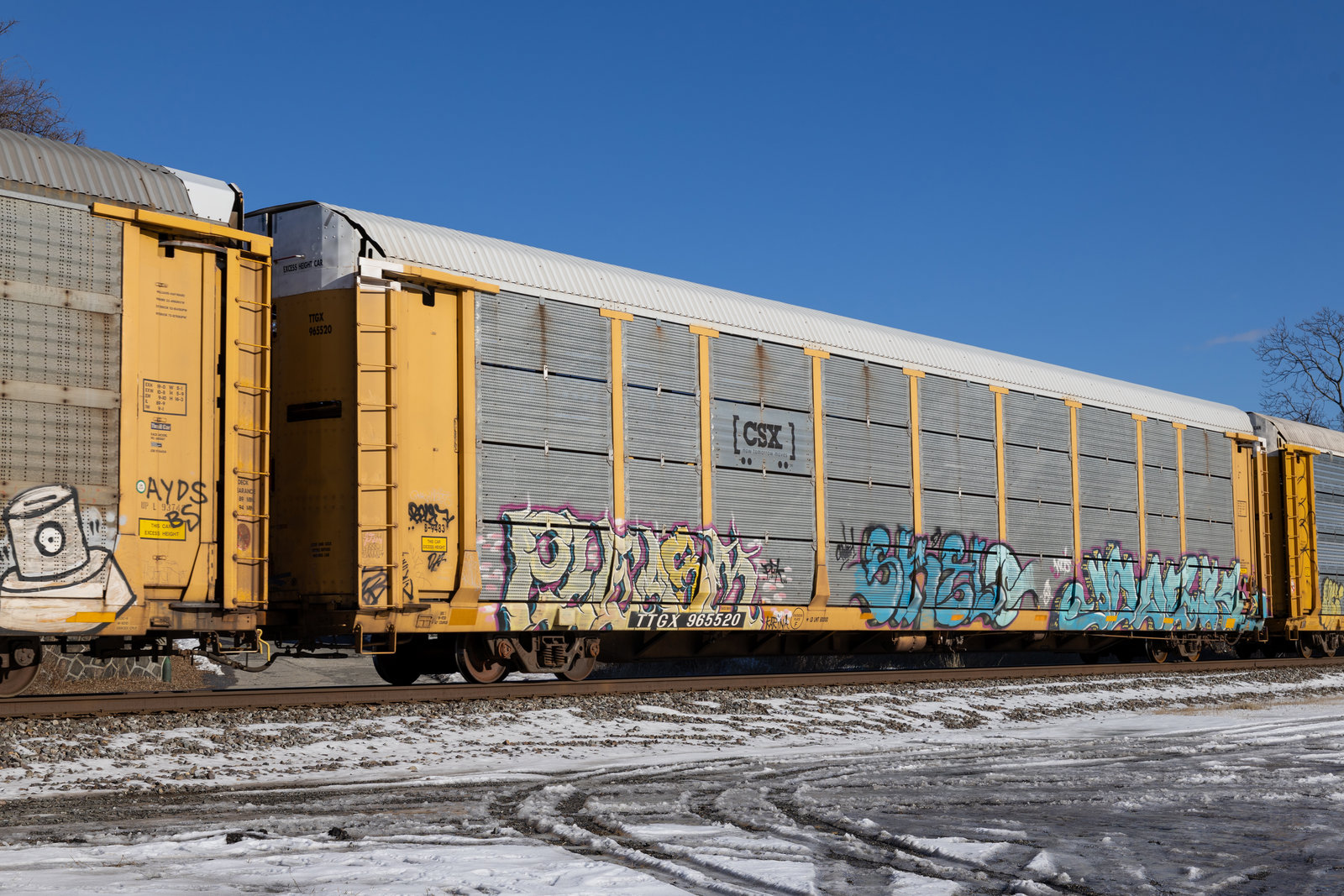 TTGX 965520