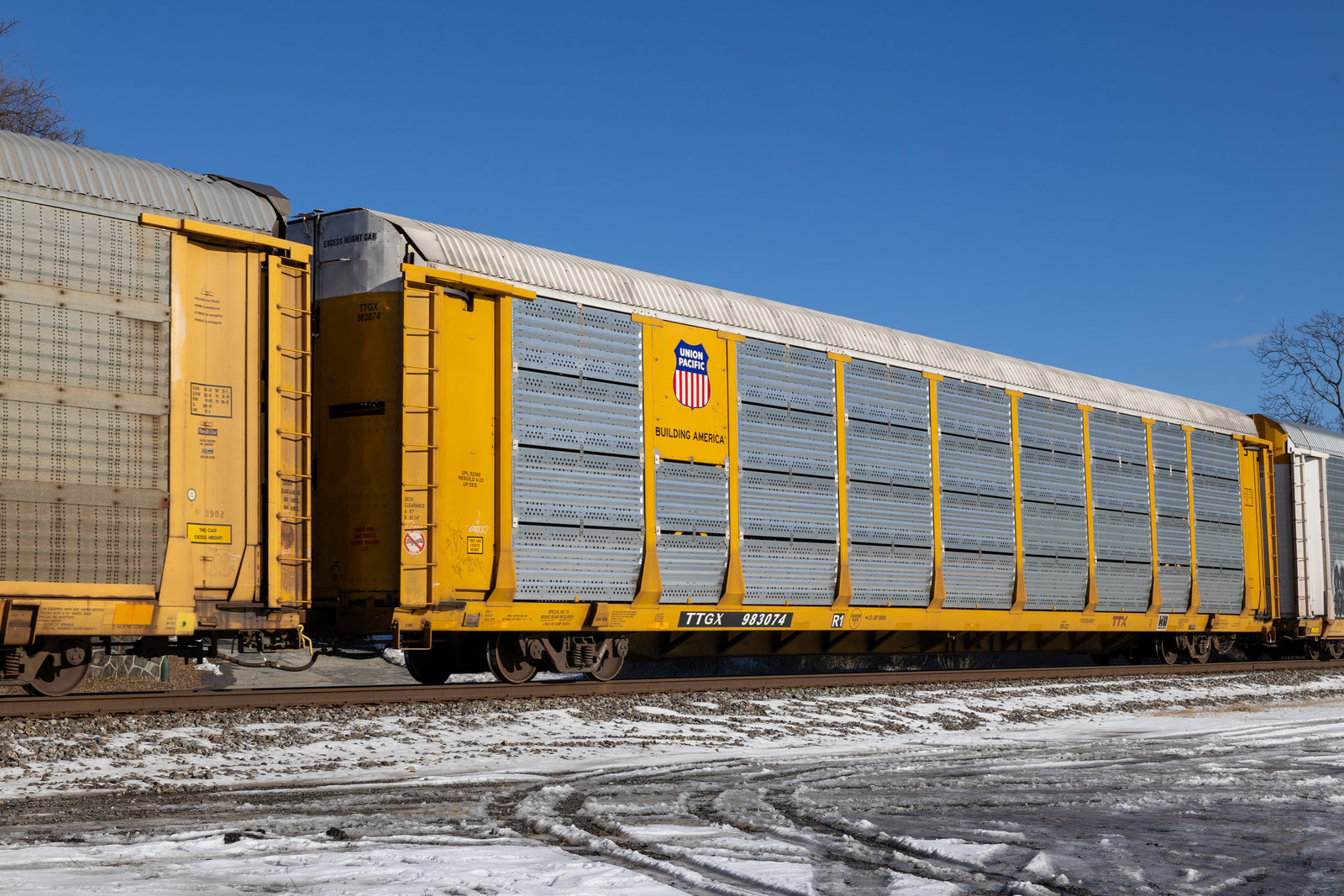 TTGX 983074
