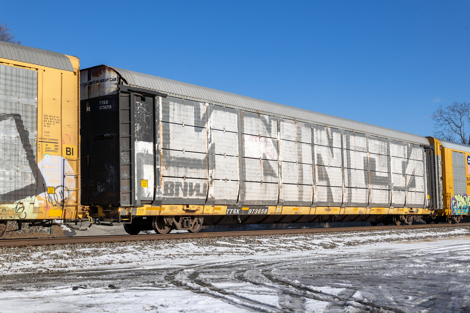TTGX 973659