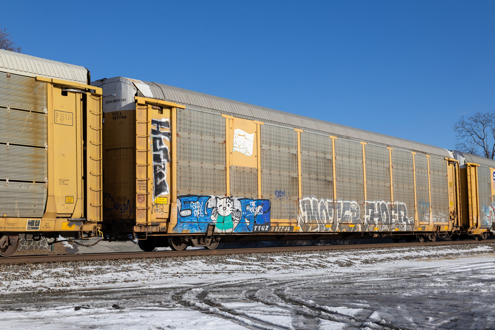 TTGX 987746