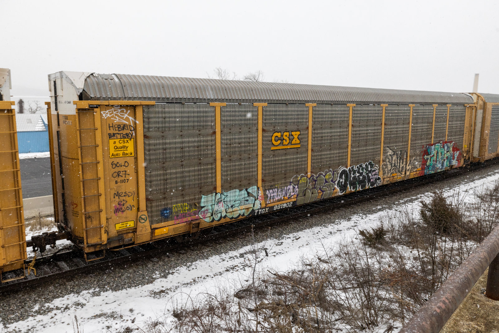 TTGX 987902