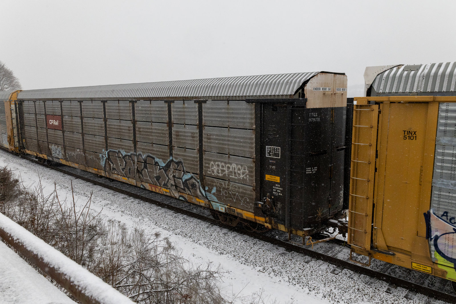TTGX 979778