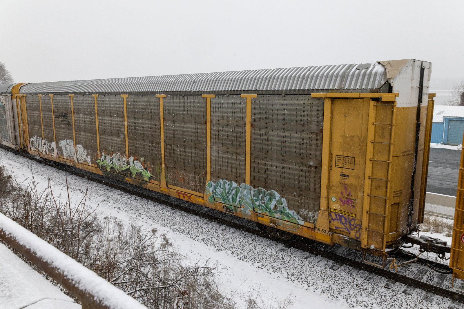 TTGX 995868