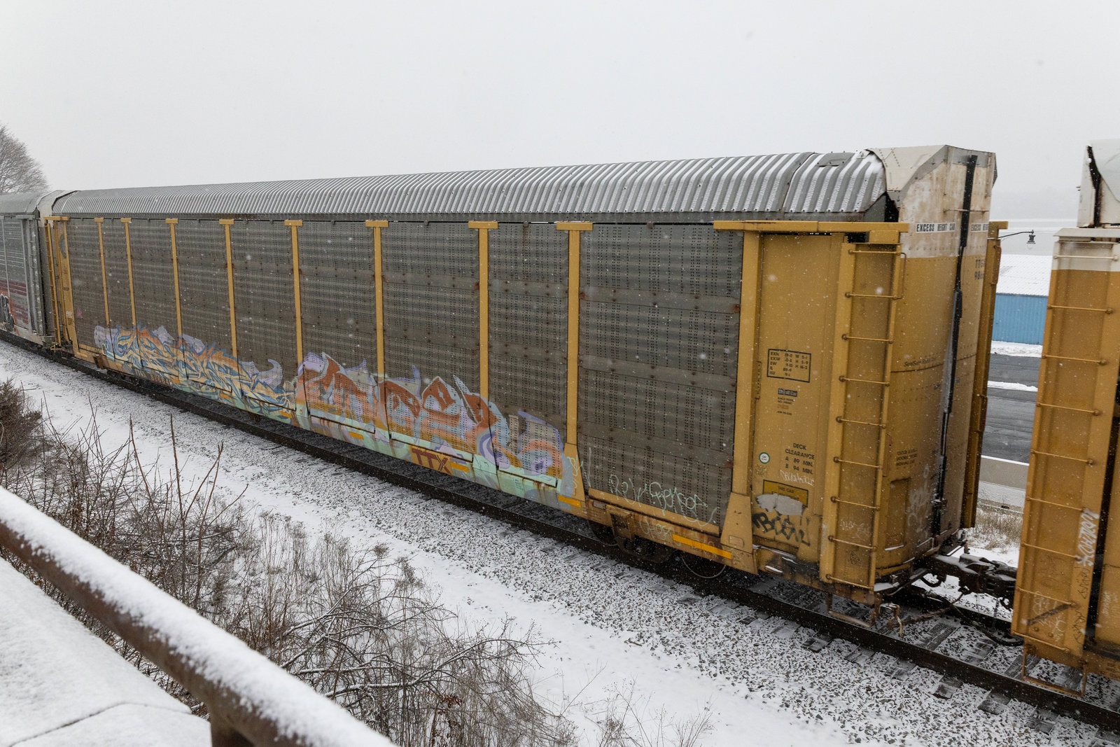 TTGX 986646