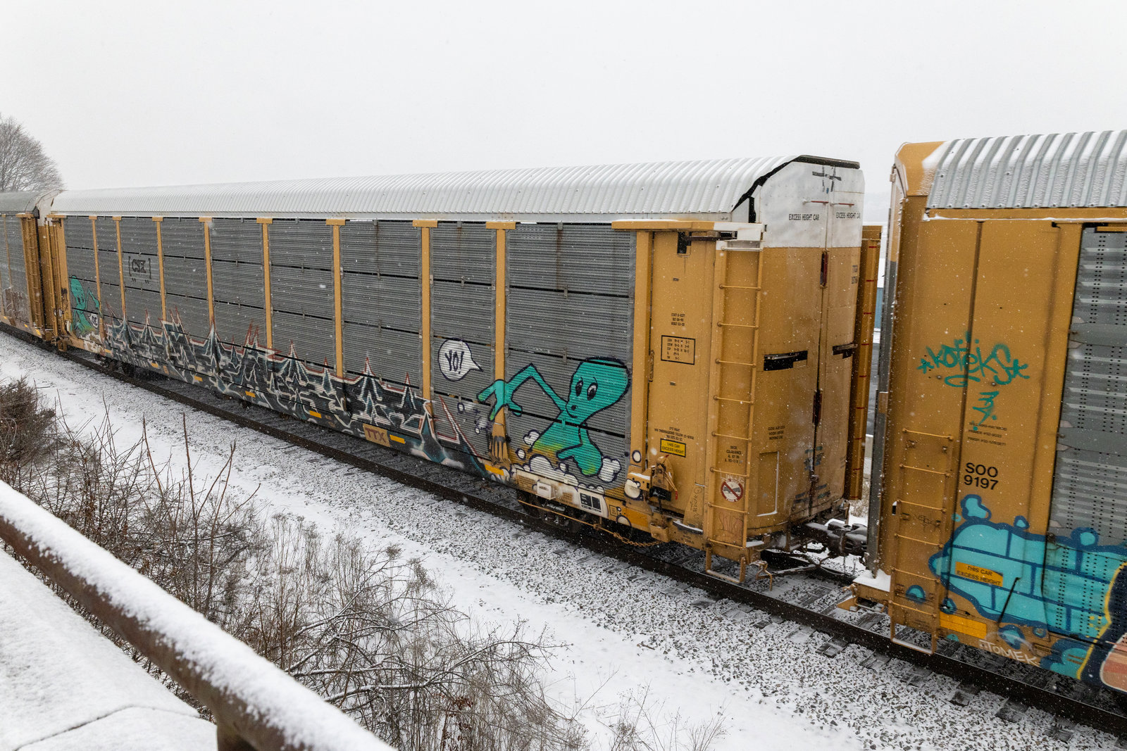 TTGX 157684