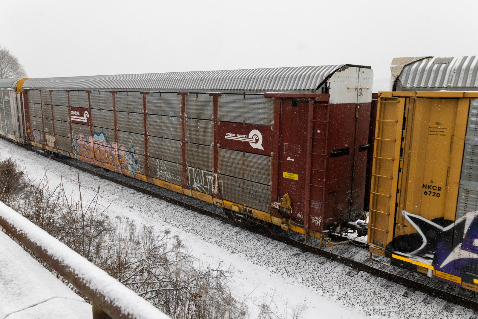 TTGX 962059