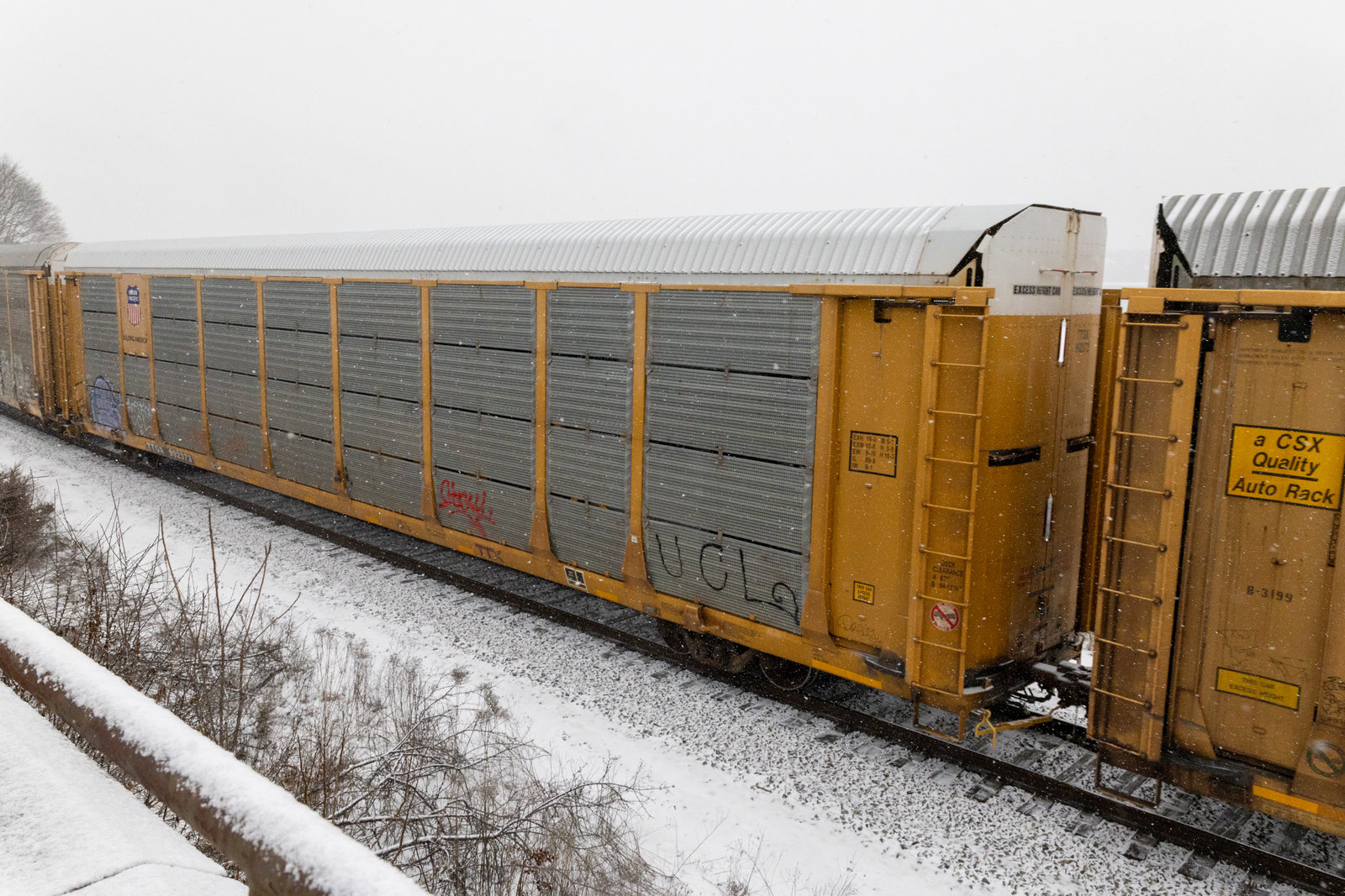 TTGX 992373